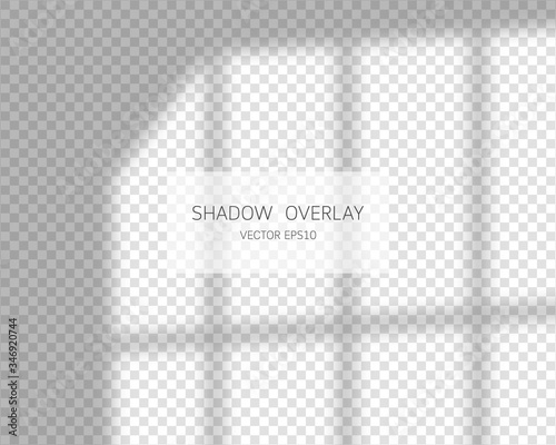 Shadow overlay effect. Natural shadows from window isolated on transparent background. Vector illustration.