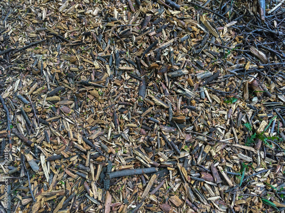 Sawdust in the forest. Abstract Background Sawdust in the forest. Abstract Background