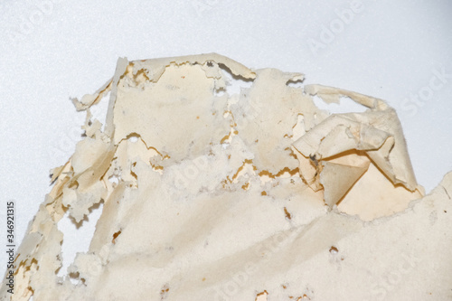 Paper swallowed with silverfish. Traces of wrecking silverfish on vinyl envelopes.