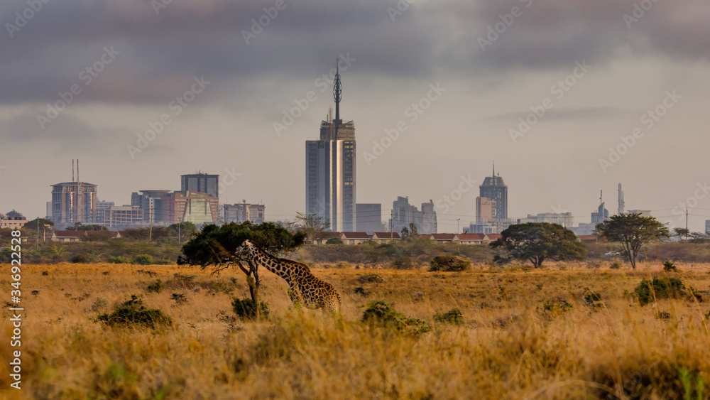 A view of the city of Nairobi from Nairobi National Park - obrazy, fototapety, plakaty 