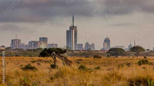 A view of the city of Nairobi from Nairobi National Park photo