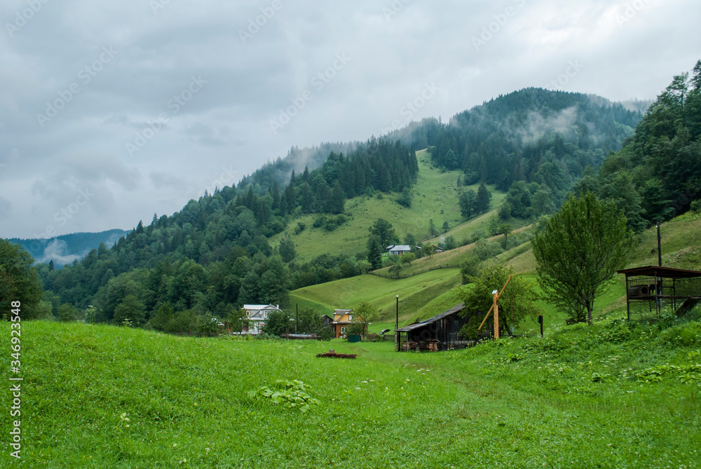 View of the valley in the Carpathians in summer
