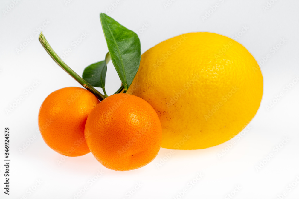 Lemon and calamondines with handles Lemon and calamondines with handles