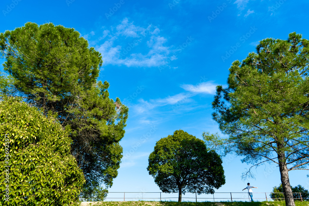 people walking in summer, blue sky, vacation, tree people walking in summer, blue sky, vacation, tree