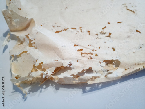 Paper swallowed with silverfish. Traces of wrecking silverfish on vinyl envelopes.