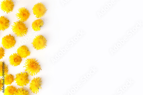 Fresh yellow dandelion buds on white background. Summer conceprt photo