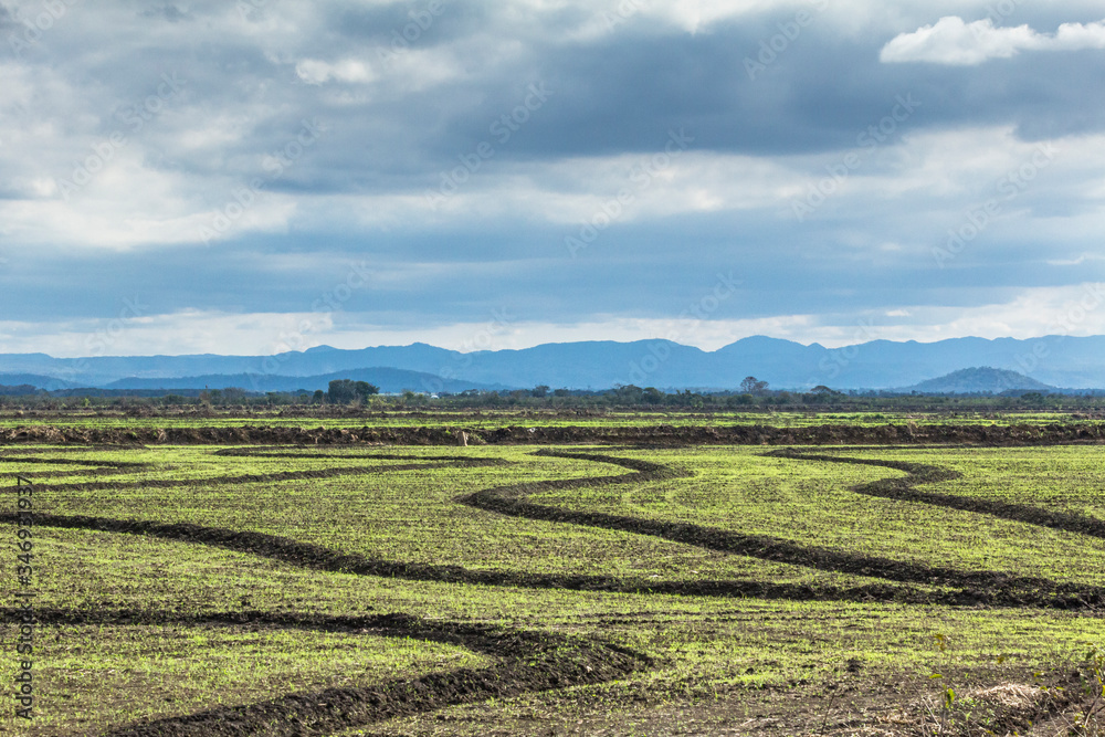 Plantation field on sunny winter day in the Midwest of Brazil.