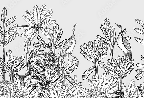 Tropical Jungle Forest Floral Vintage Seamless Border with Wild Birds Heron, Cranes in  Palm trees Panorama View Wallpaper Mural, Engraving Doodle Illustration Landscape View