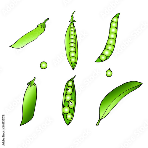 Fesh green peas. Vegan healthy food - pea in vector