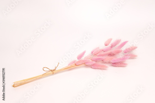 Pink plant spikes. Dry flowers in a bouquet, white background.
