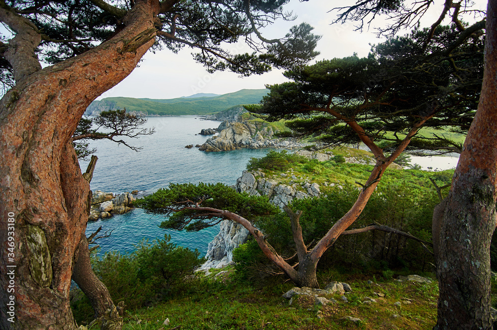 High cliffs in the ocean. Rocky islands and rocks in Orlik Bay in the Sea of Japan. Far East. In the foreground are trees. High cliffs in the ocean. Rocky islands and rocks in Orlik Bay in the Sea of Japan. Far East. In the foreground are trees.