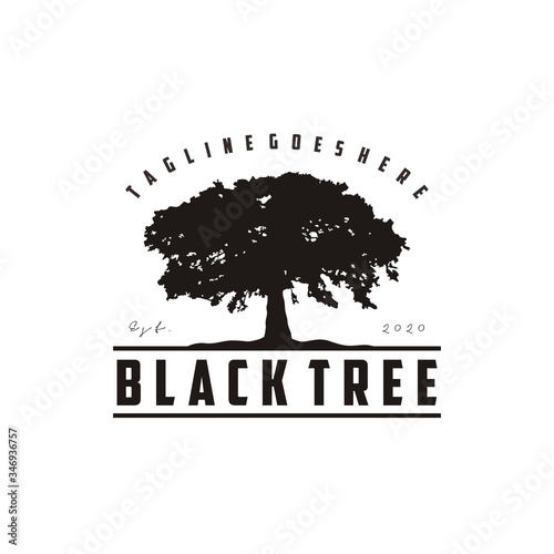 Vintage Old Oak Maple Tree logo design