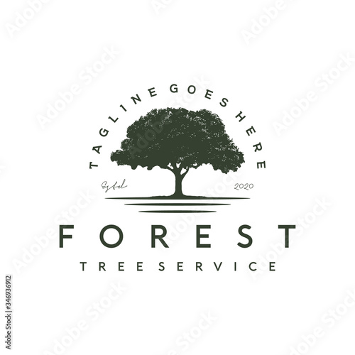 Banyan tree logo for Tree service / residential landscape vintage logo design