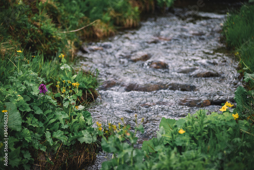 Stream in the Spring's mountains photo