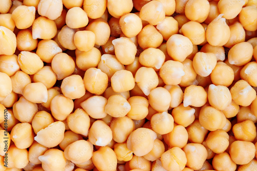 Soaked chickpeas. Chickpeas are hign in proteins and a common ingredient hummus, chana masala and falafel. Soaked chickpeas. Chickpeas are hign in proteins and a common ingredient hummus, chana masala and falafel.