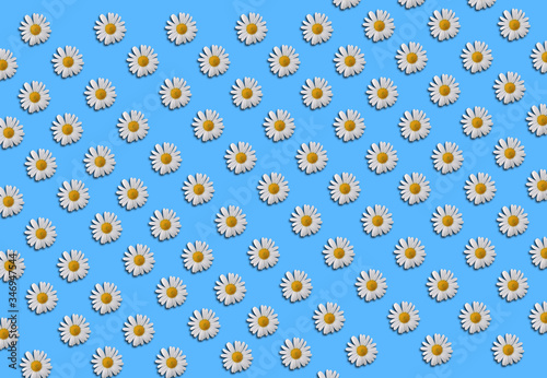daisy flower polka dot seamless pattern on pastel blue background © Sound and Vision