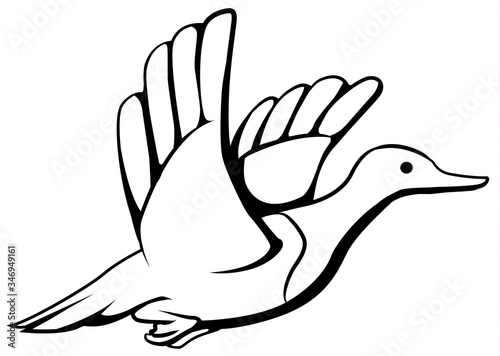 Duck Flying Line Drawing