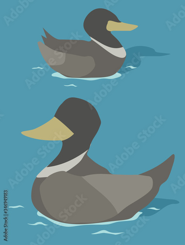 Duck Swimming Cartoon
