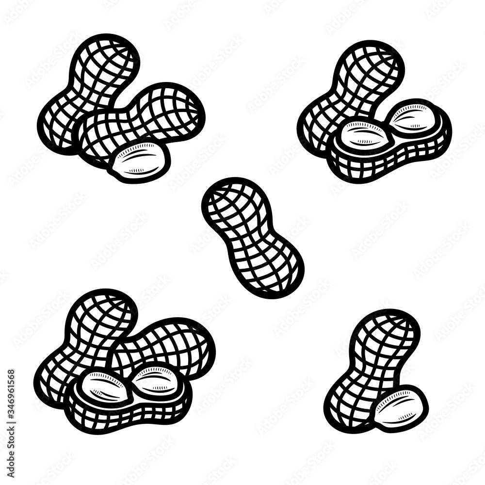 Peanuts set. Collection icon peanuts. Vector Peanuts set. Collection icon peanuts. Vector