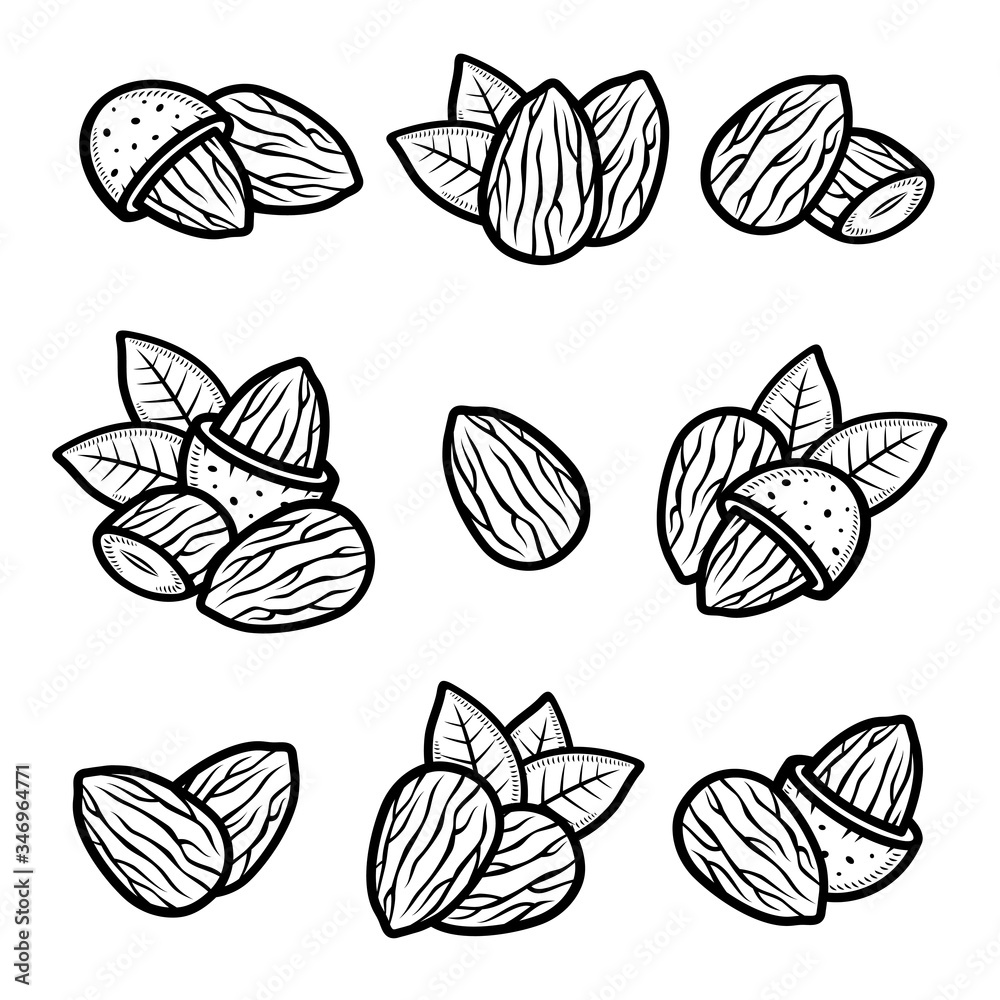 Almond set. Collection icon almond. Vector Almond set. Collection icon almond. Vector