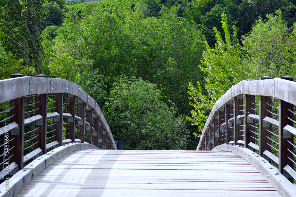 Wooden bridge and trees behind.