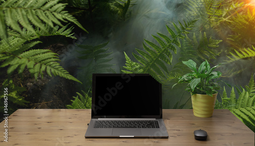 Fototapeta Naklejka Na Ścianę i Meble -  Laptop on the wooden desk with Jungle and nature background