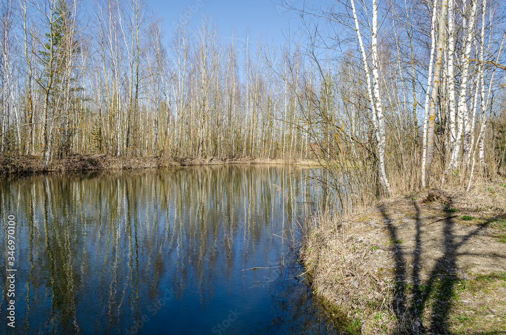 Beautiful lake in the forest. Spring in the forest, lake, trees. Spring forest and lake. Awakening of nature in the spring.