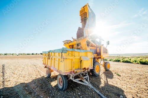 Grape harvesting machine, Cuenca, Spain