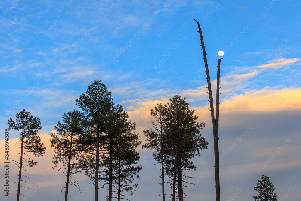 Fototapeta premium New Mexico, Moonscape