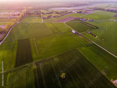 Top view of different fields near the German town of Viernheim. Green and plowed fields. Small farms. photo