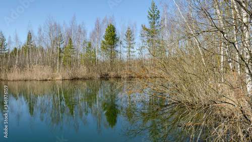 Beautiful lake in the forest. Spring in the forest, lake, trees. Spring forest and lake. Awakening of nature in the spring.