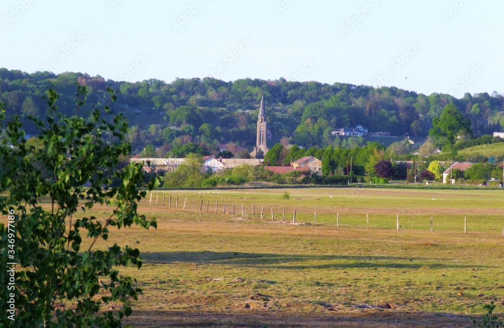 Fototapeta premium Doda