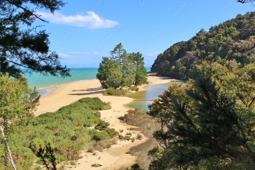 Magnificent Apple Tree Bay with Pines on the Beach in Abel Tasman National Park Magnificent Apple Tree Bay with Pines on the Beach in Abel Tasman National Park