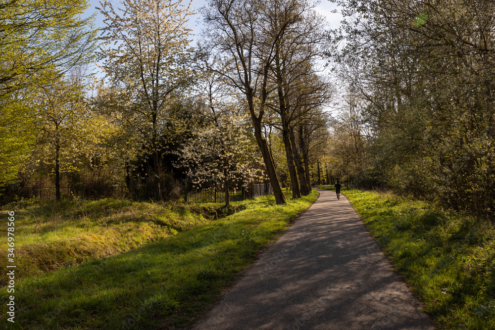 Fototapeta premium A view of the rural area near the Philips de Jongh Park and Strijp R in Eindhoven City on a sunny day. Dutch nature with a road, trees with blossoms and greenery on a spring day in April