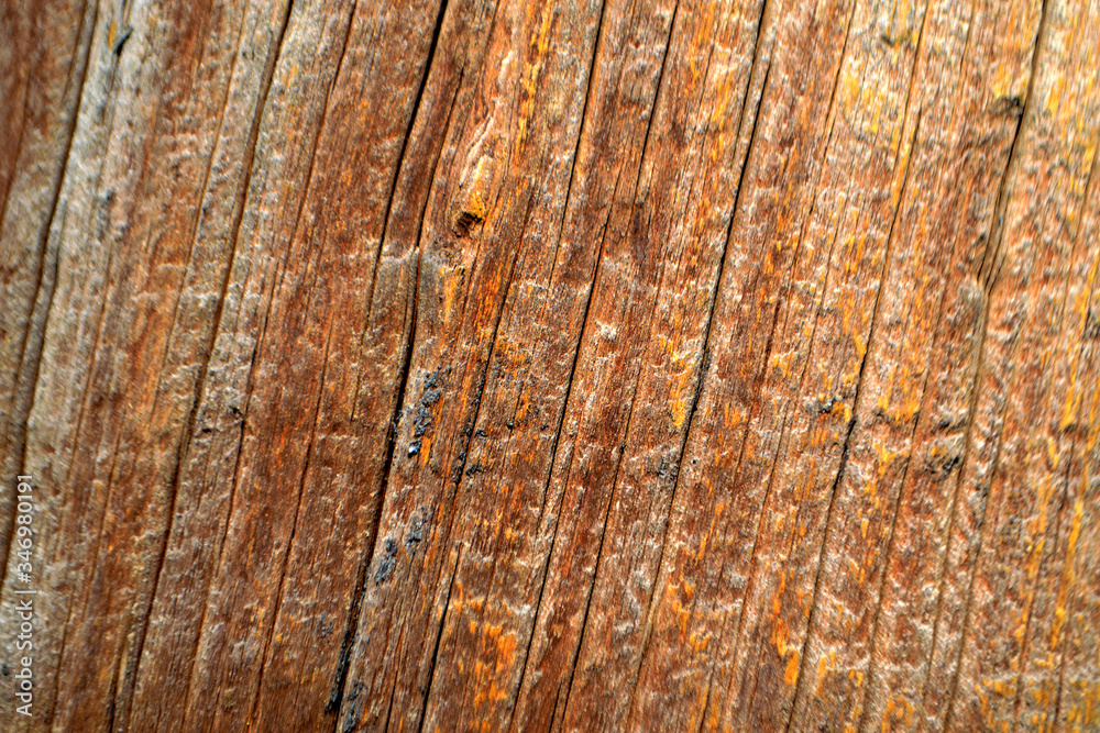 Fototapeta premium old wooden texture closeup background