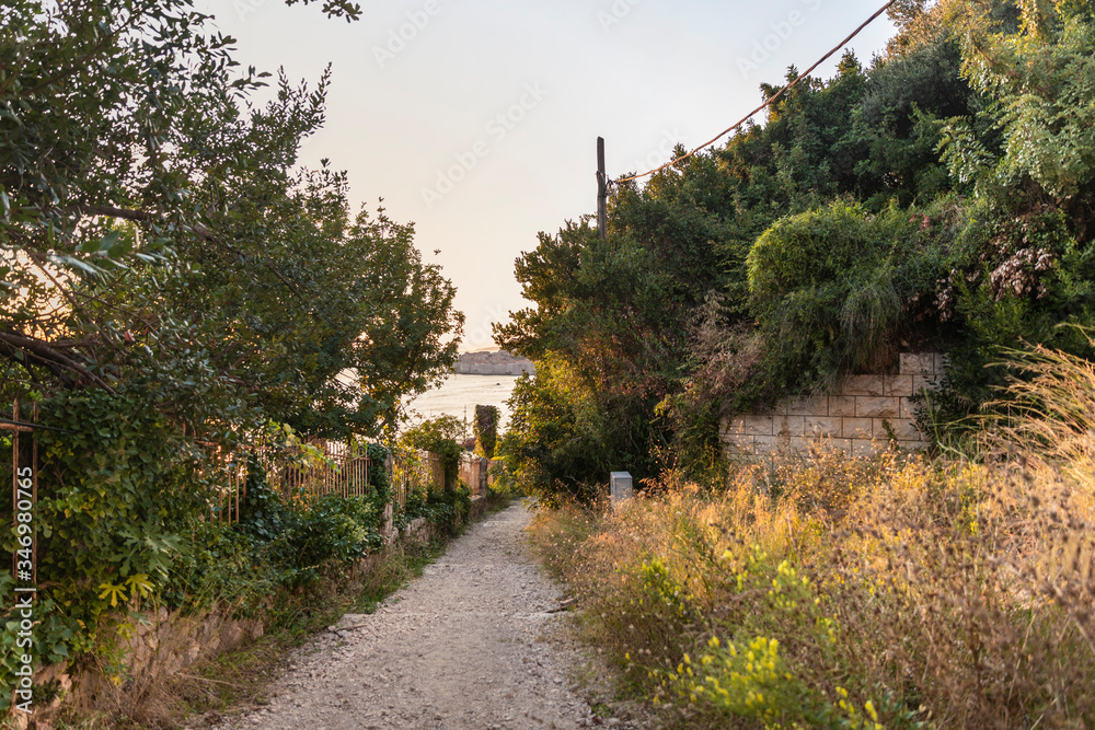 A path with greenery during golden hour creating an idyllic scenery in Dubrovnik in Dalmatia, Croatia, Europe on a sunny day in summer during sunset and sun flares
