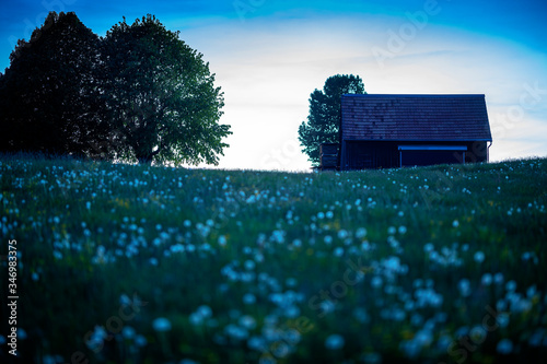 Barn in the moonlight on flower meadow on a hill