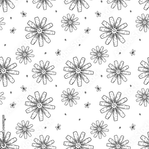 Hand drawn Chamomile seamless pattern. Vector illustration in sketch style