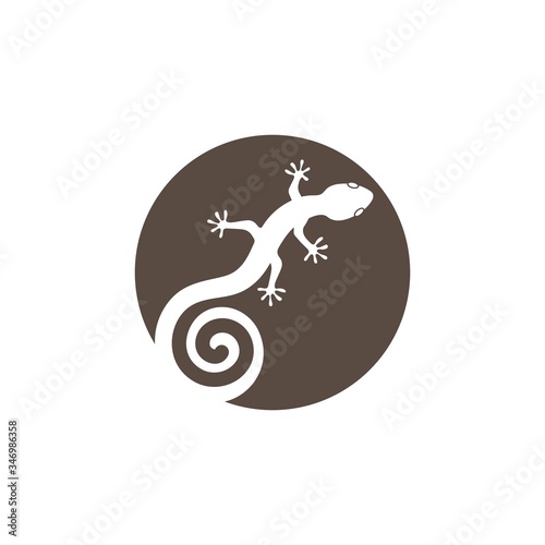 Gecko logo vector icon illustration