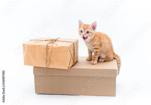 Cute red kitten sits on brown kraft box on white background