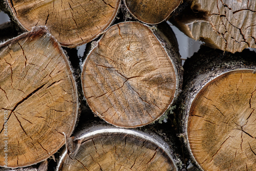 View of the ends of sawn birch logs lying on top of each other. Wood harvested for the furnace and fireplace. Structure and cracks of dried wood. Wood background. View of the ends of sawn birch logs lying on top of each other. Wood harvested for the furnace and fireplace. Structure and cracks of dried wood. Wood background.