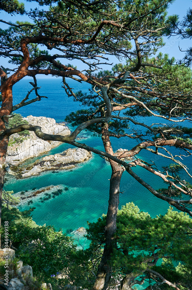 Sea bay with a sandy beach. View from above.