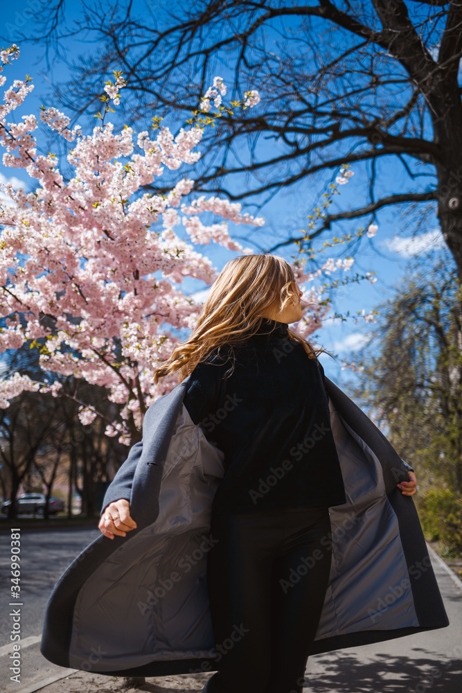 Sakura branches with flowers on a tree on the city streets. Happy woman girl spinning on the street with blooming sakura. Gorgeous fashionable girl outdoors. Sakura tree blossoms. Sakura branches with flowers on a tree on the city streets. Happy woman girl spinning on the street with blooming sakura. Gorgeous fashionable girl outdoors. Sakura tree blossoms.