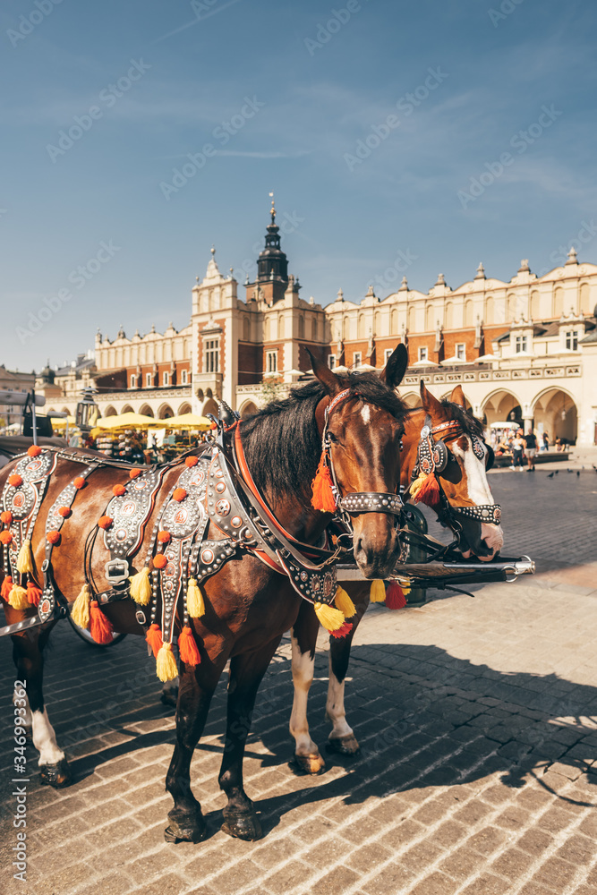 Obraz premium Horses carriages at Main square in Krakow, Poland