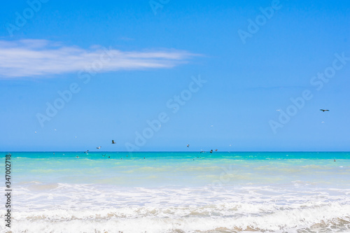 tropical beach with blue sky © Sara