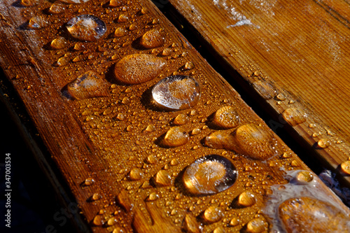 Wallpaper Mural water drops on wood background Torontodigital.ca