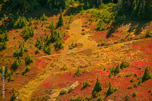 View From Tolmie Peak Lookout photo