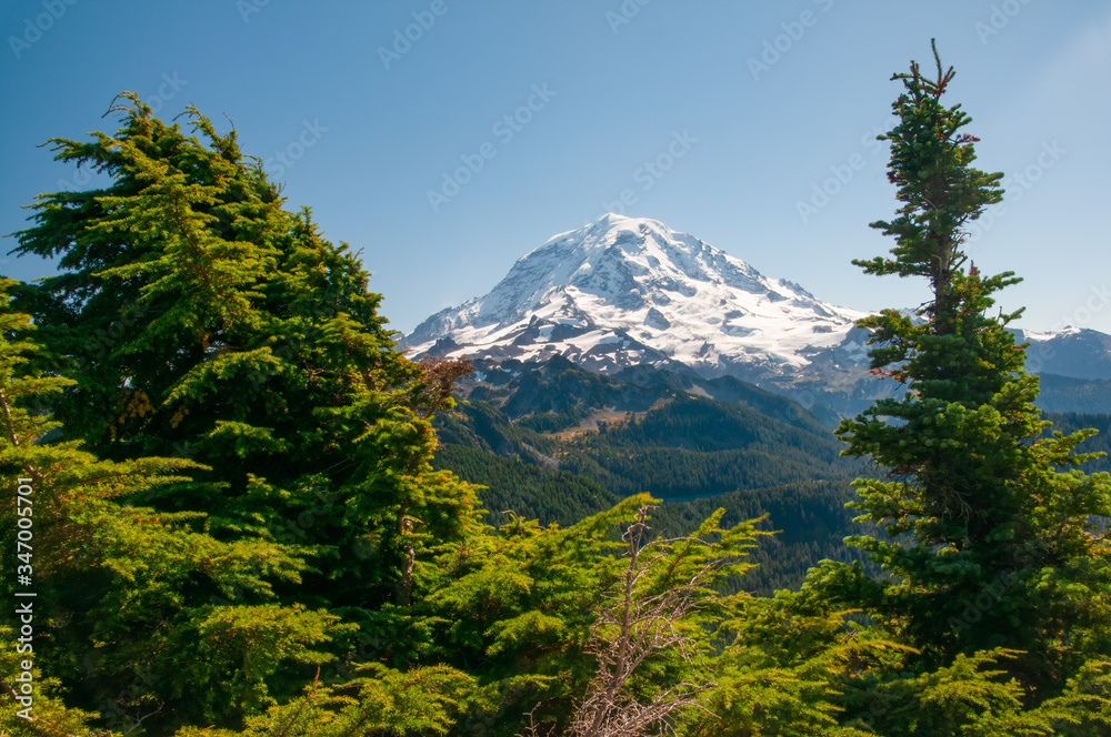 Fototapeta premium Snowy Peak of Mount Rainier