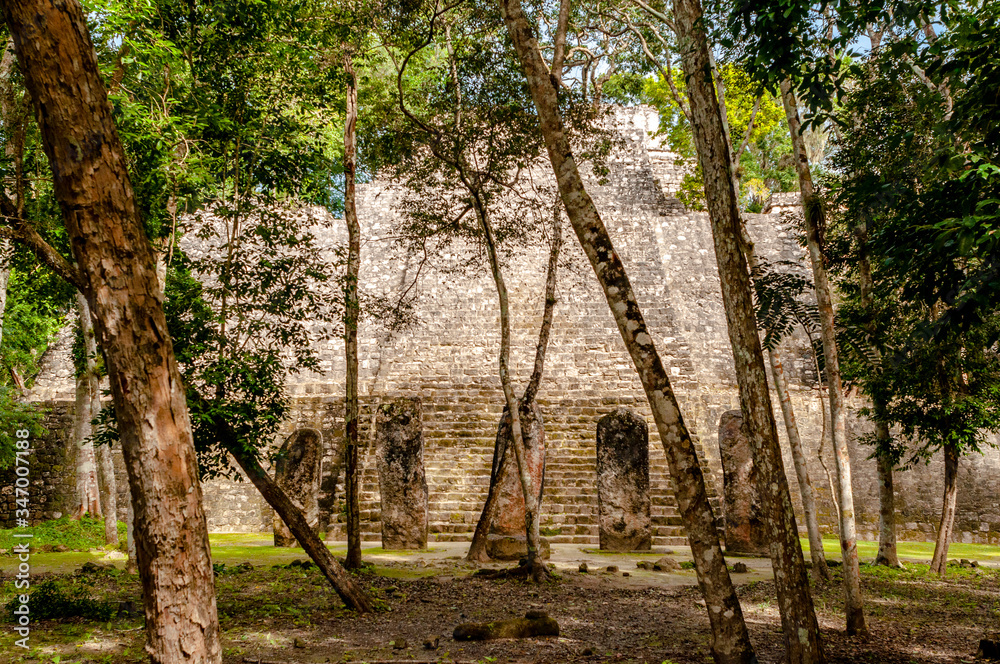 Vista de la Zona Arqueológica de Calakmul en Campeche, México; Mundo Maya. Vista de la Zona Arqueológica de Calakmul en Campeche, México; Mundo Maya.