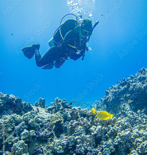 Female scuba diver exploring a dive site on the Big Island of Hawaii. 